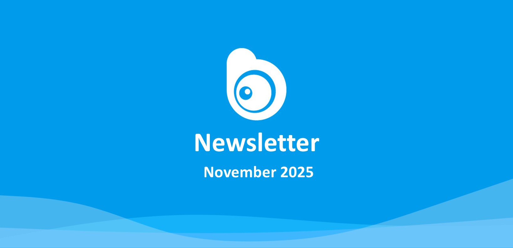 Newsletter | November 2025