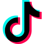 TikTok Copilot